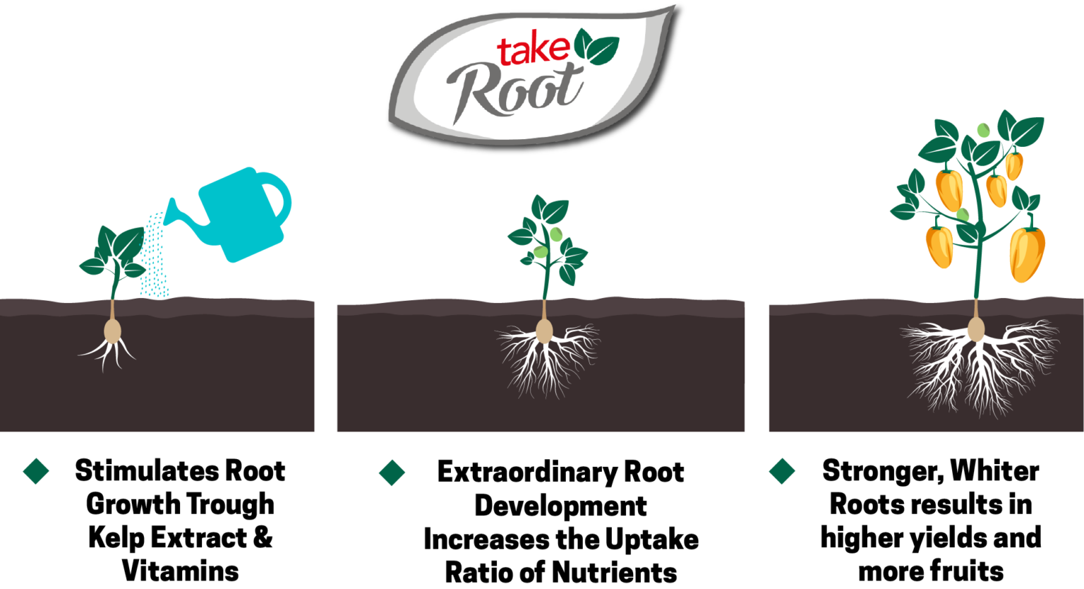 Take Root Dutchpro USA