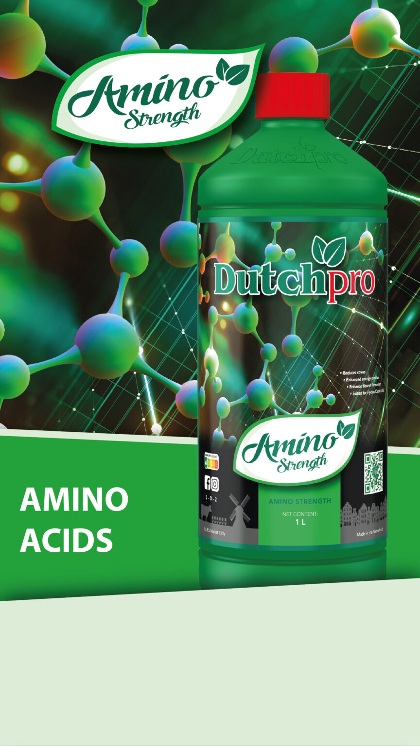 Amino Strength Amino Acids - Dutchpro USA